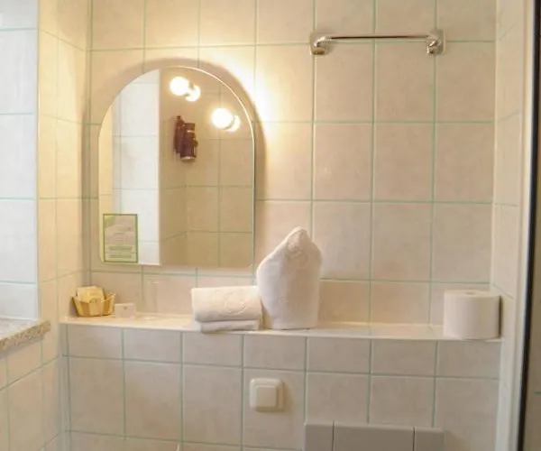 Donau-hotel Hotel Sinzing