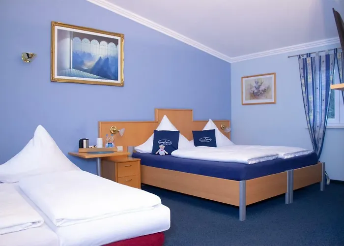 Hotel Donau-hotel