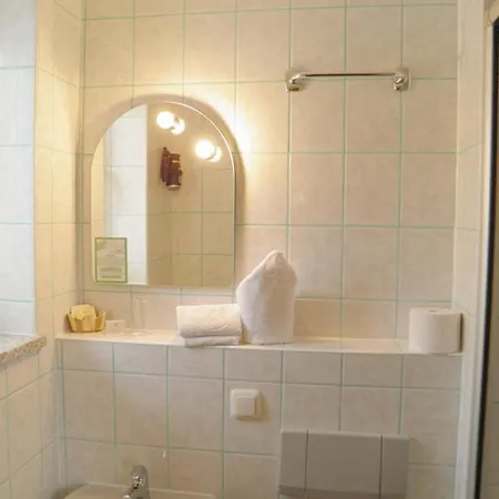 Donau-hotel فندق Sinzing