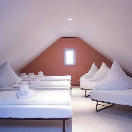 Donau-hotel فندق