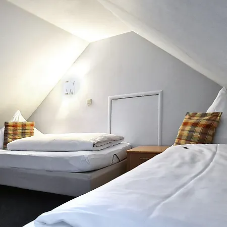 فندق Donau-hotel Sinzing