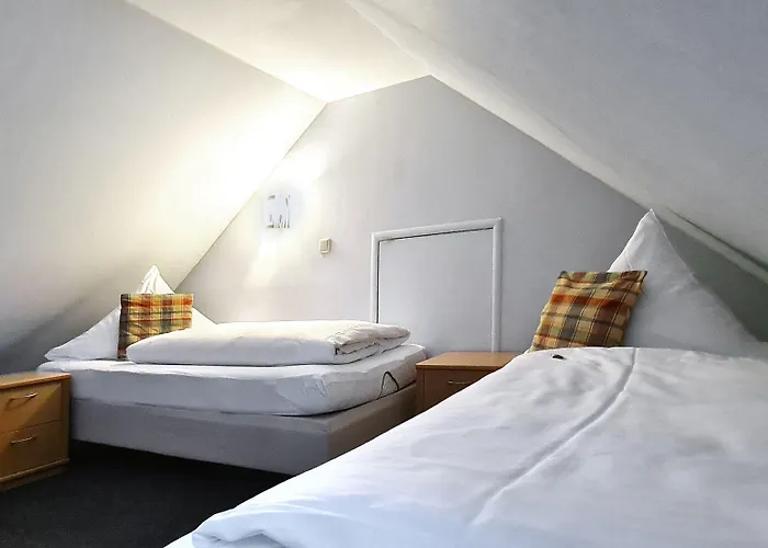 Otel Donau-hotel Sinzing