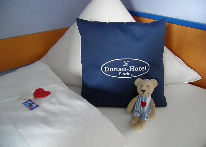 Donau-hotel Otel Sinzing